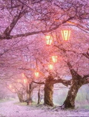 【东篱】四月（诗歌）