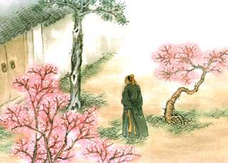 【荷塘】醉一场桃花艳遇，惜一春挚爱情缘（散文）