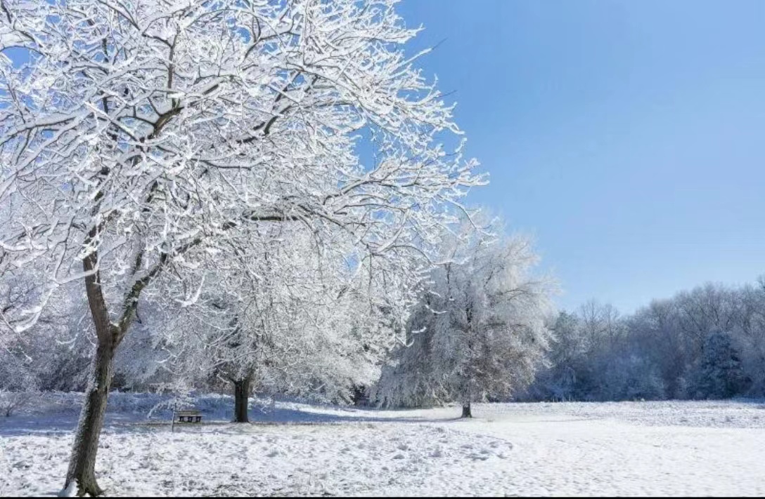 【文璞】惊蛰见春雪  （散文）