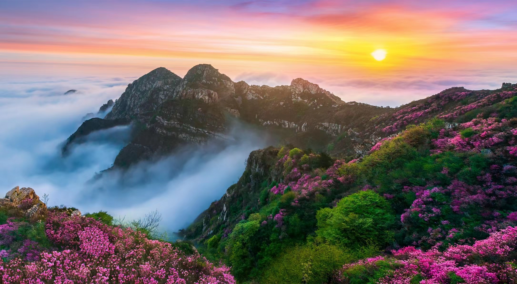 【江山·耕耘】【宁静】山在那里（随笔）