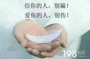 【看点】迷途（小说）