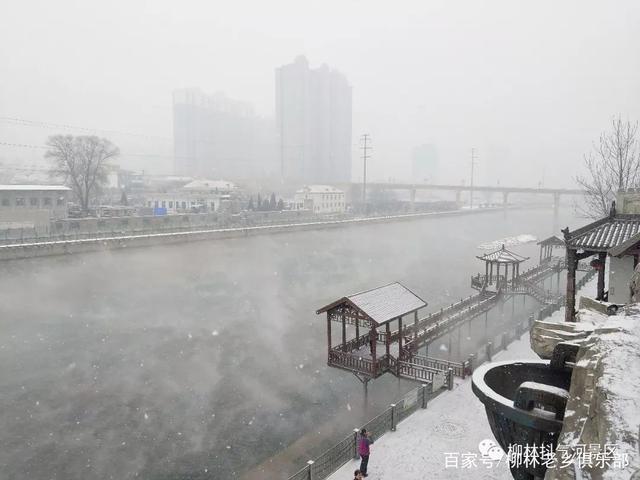 【丁香】雪韵笛远（散文）