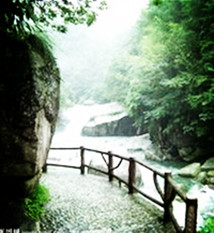 【东篱】峡谷溪流藏柔情（散文）