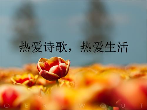 【丹枫】诗与时代（杂文随笔）