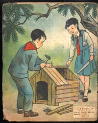 爱护小动物