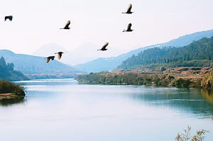 【丁香·丁香花开】秋天永远是追梦人（组诗）