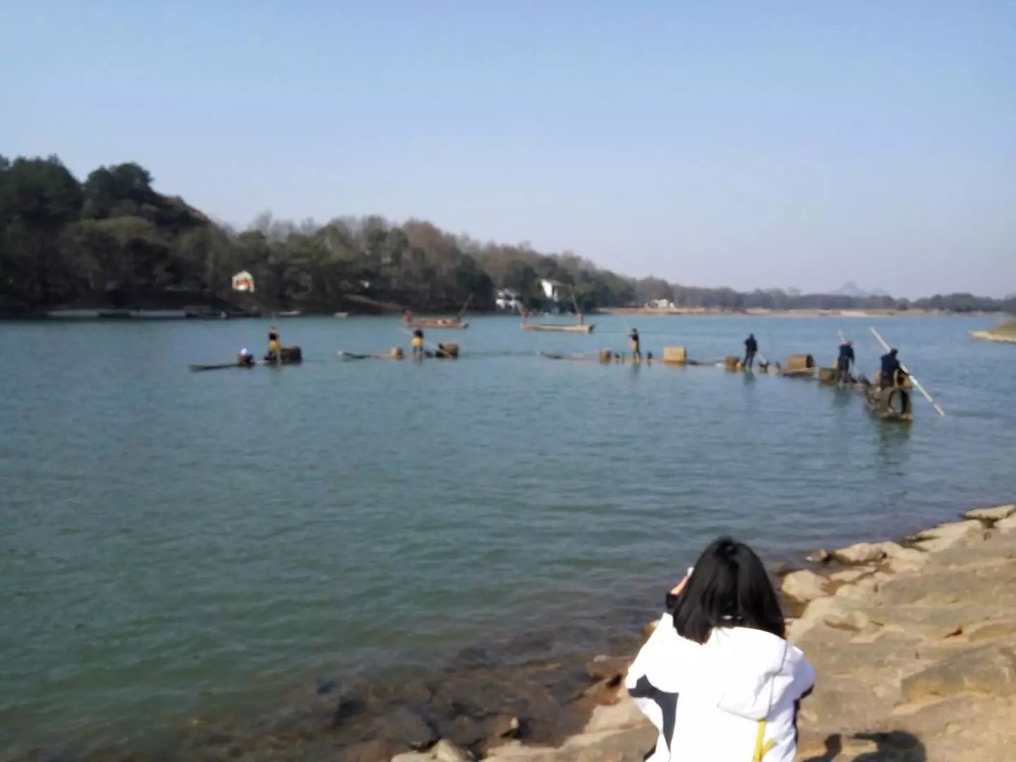【流年·永遇乐】鸿雁（征文·外四首）