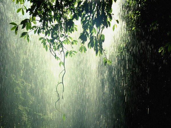 【星月】铁皮屋顶上的雨（散文）