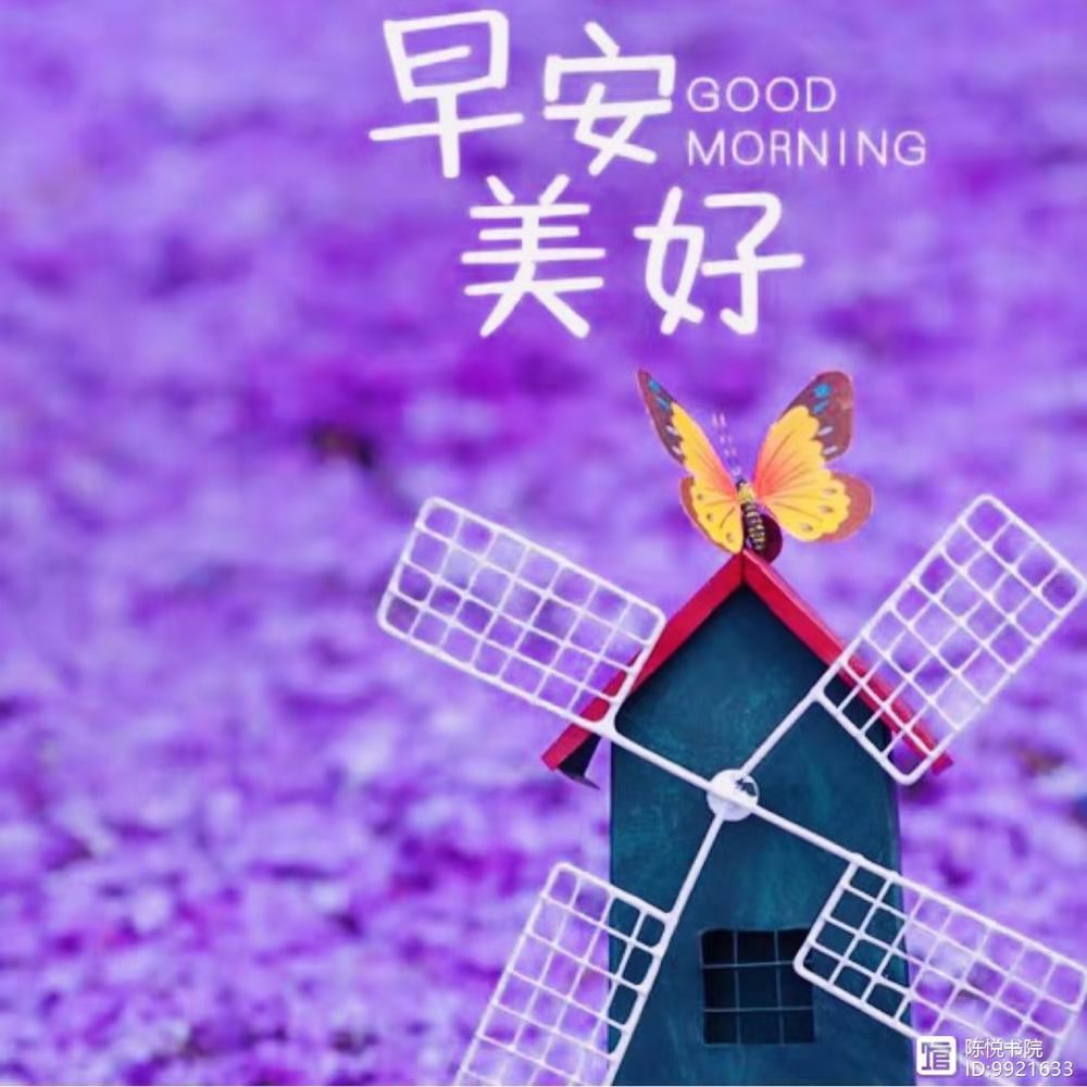 【绿野】我愿化身为蝶（诗歌）