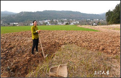 【丹枫】人生历险记（散文）