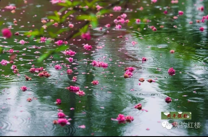 【八一】雨声（外六首·家园）