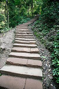 【晓荷.心愿】山路弯弯（征文.小说）
