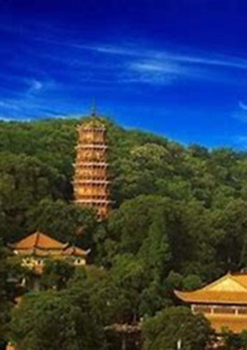 【摆渡·中秋】一夜入秋（散文）