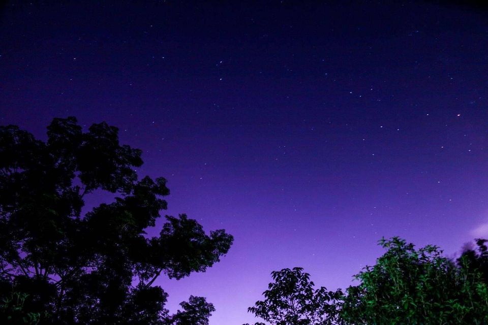 【八一】孤独的守夜人：遥望星空（散文）
