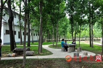 【西风】走在乡间小路上（散文）