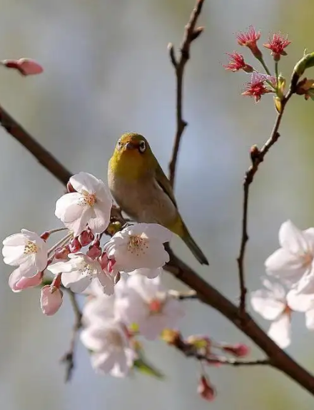 【看点】春日闲言（随笔）
