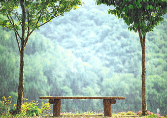 【江山宸光】江南雨巷（大学组诗歌）