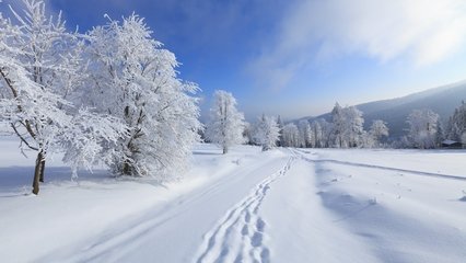 【西风征文】雪性（冬遇散文）