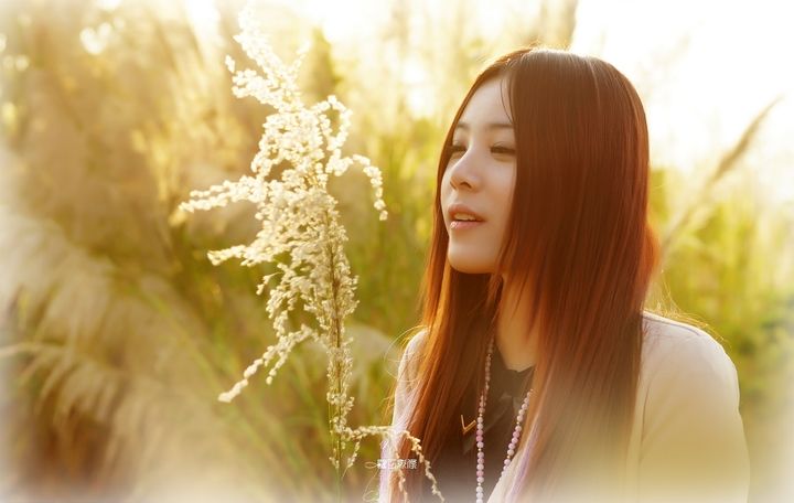 【清韵】你若是一首诗（诗歌）