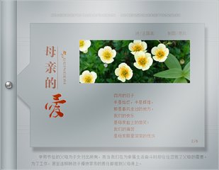【江山宸光】一回忆，就幸福（中学组散文）