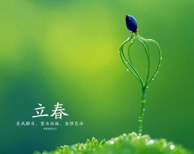 【八一】立春（外一首）