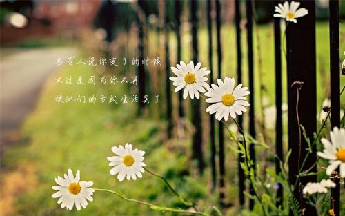 【歌词】人生不要有太多的在意