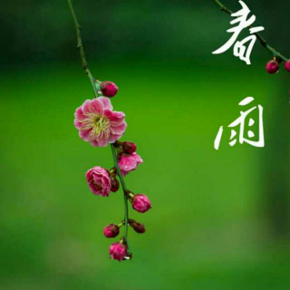 【宁静·真】雨即来的日子（诗歌）