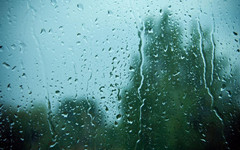 【丁香】我的“暮雨”（散文）