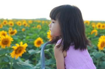 【江山人赏江山文】令人悲泣的葵花劫（荷塘）