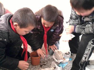 种子“入土”记（记叙文）