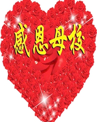 我心中的五雷中学