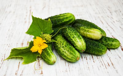 【八一 】时蔬之趣——黄瓜（散文）