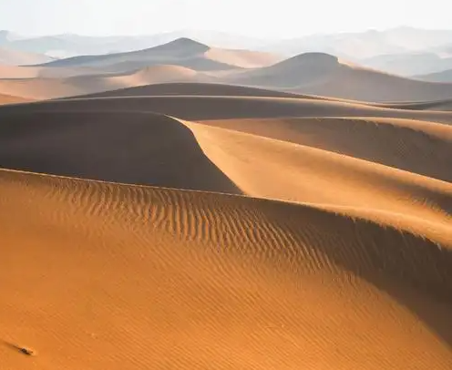 【酒家】大漠之歌（诗歌）