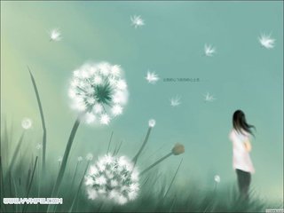 【星月】芳华盛世，犹如梦（散文）