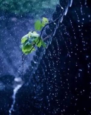 【流年】不停的雨（短篇小说）