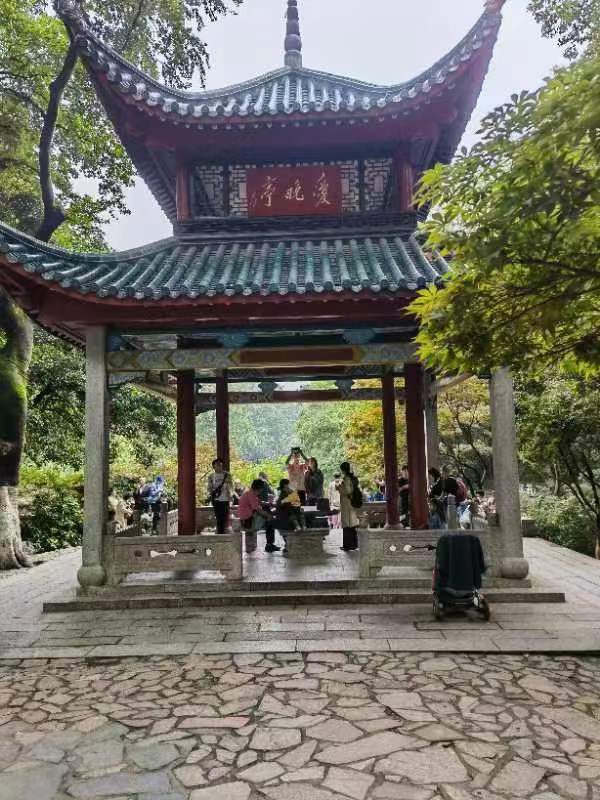 【丁香】【护花使者】重游岳麓山（散文）