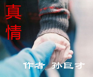 【电视剧本】真情