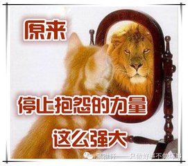 【晓荷·天地事】抱怨是一味毒药（征文·散文）