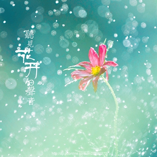 【流年】花开的声音（微电影剧本）