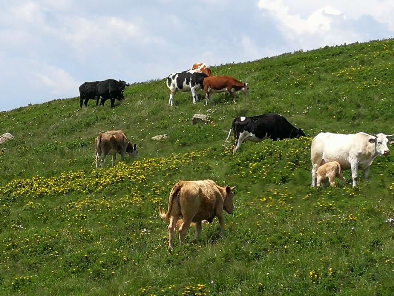 【家园·春】乌兰察布的春天（散文） 　　