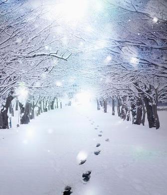 【流年·雪】雪之恋（征文·小说｝