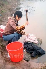 胜似亲人（看图写话）