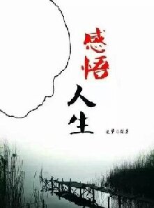 【金文·芳华】 报警的女人（散文）