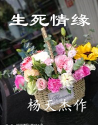【豫剧】 生死情缘