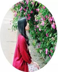 致晓菲