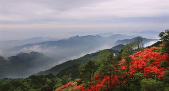 【八一】大别山（诗歌）