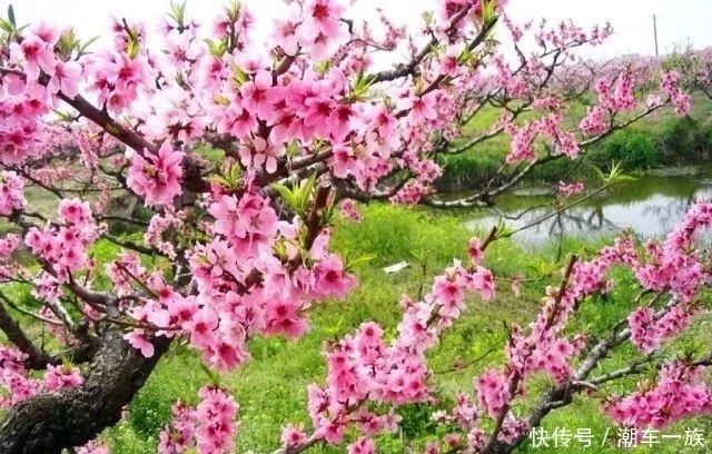 【宁静】我只是看见了黄昏（诗歌）