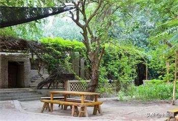 【萌芽】屋前四季之美（记叙文）