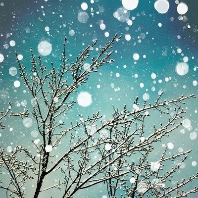 【流年】雪落的声音（散文）