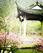 【东篱】冬日行吟（古韵）